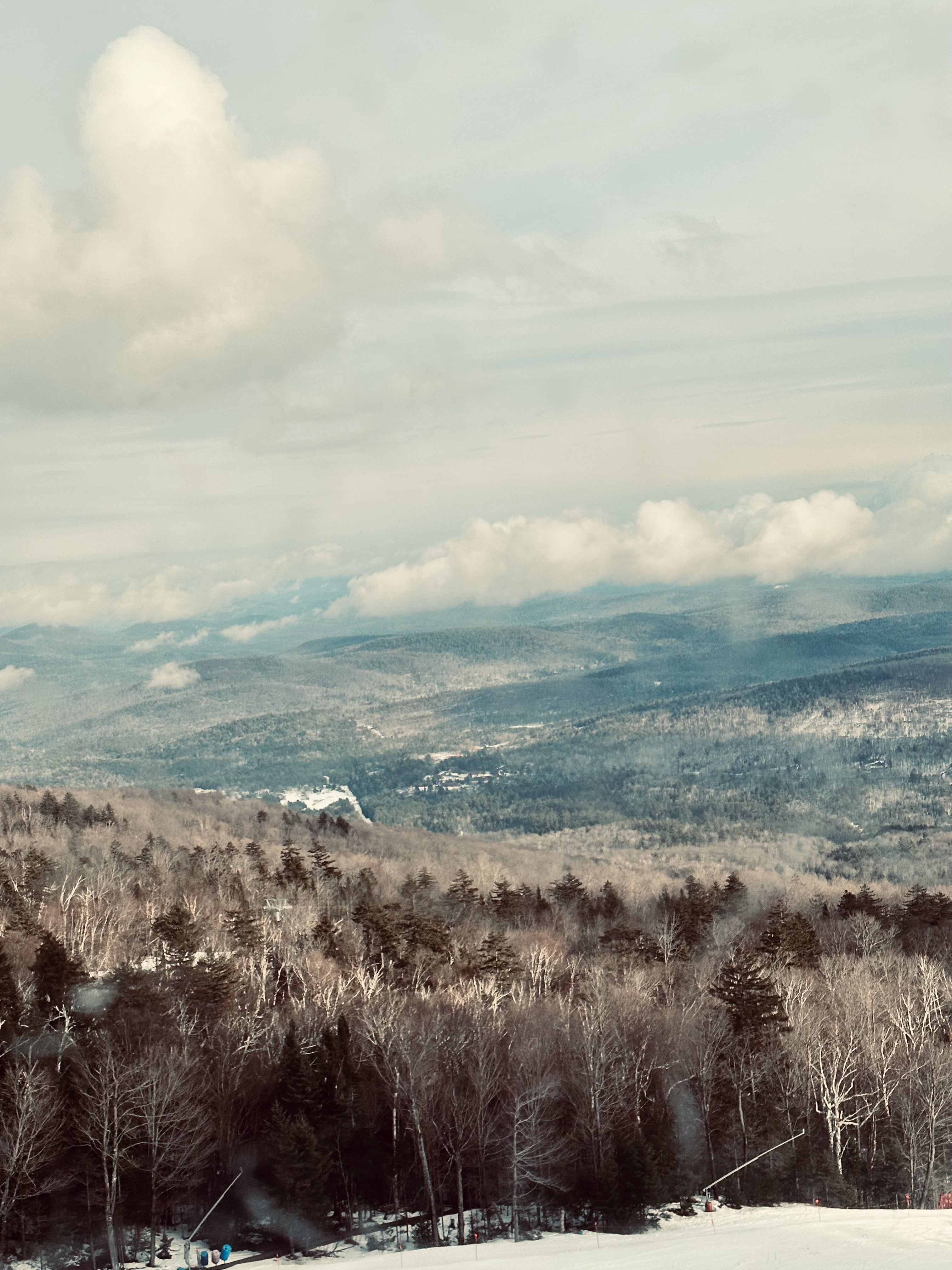 nature and landscape photo